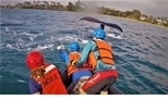 座頭鯨遭漁網纏繞 救援人員冒險上前解救！