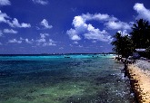 九小島國忍不住了 提請國際海洋法庭：國家即將沉沒 碳排放國不用負責嗎？