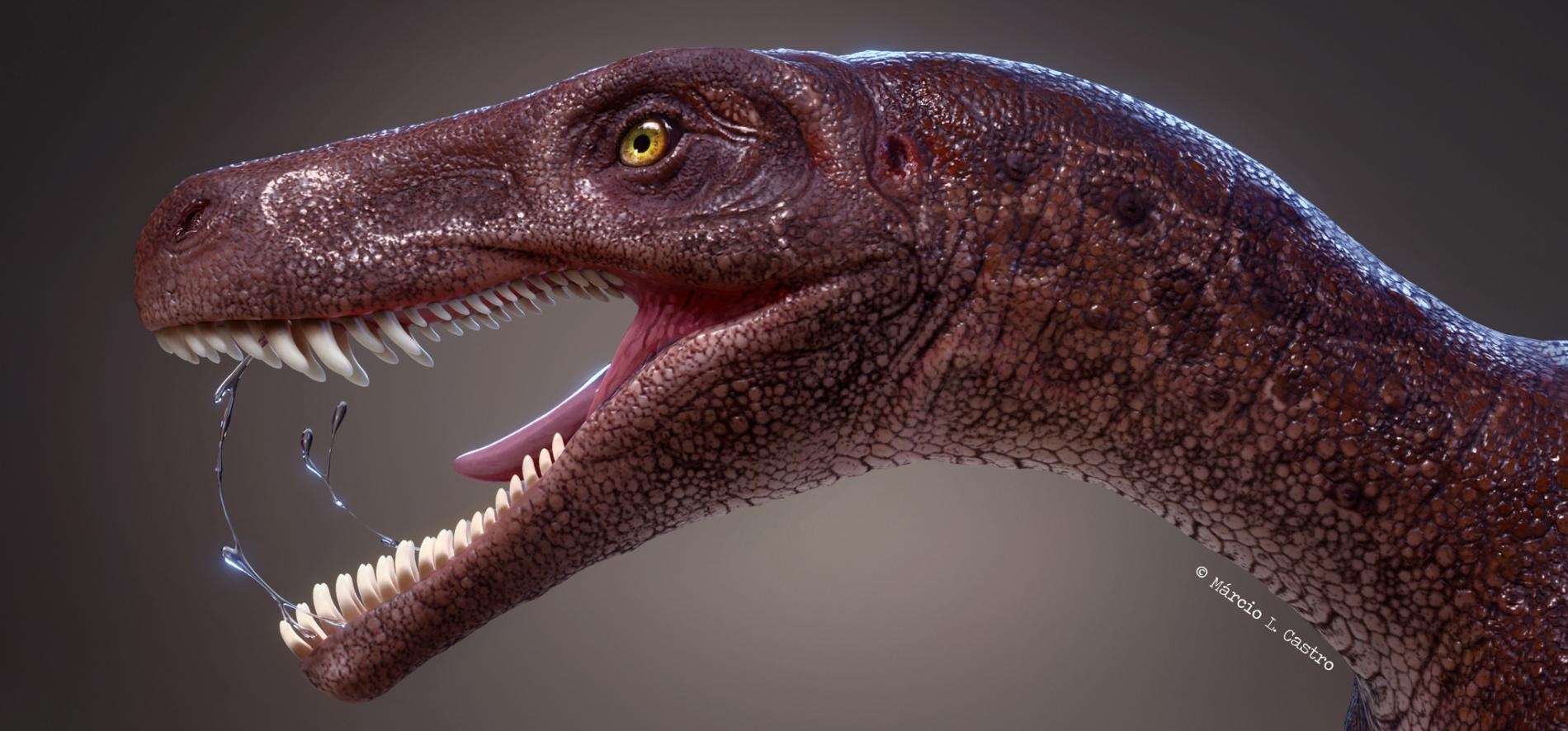 圖中的卡布雷拉噬頜龍（<i>Gnathovorax cabreirai</i>）是巴西的同類肉食性恐龍裡最古老的物種，也是全世界最古老的恐龍之一。ILLUSTRATION BY MÁRCIO L. CASTRO