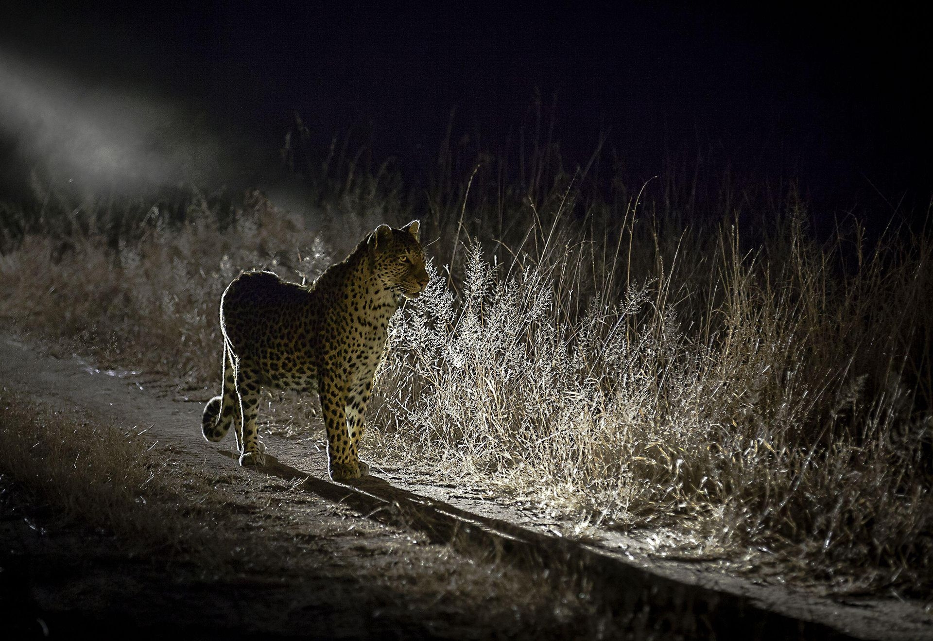 Photograph by Bob Davies, National Geographic