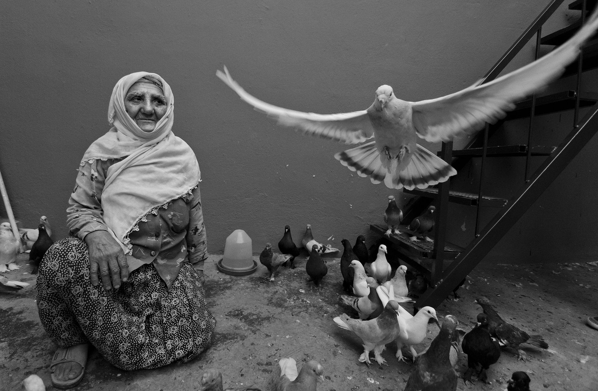 Photograph by Ali Aşılı, National Geographic