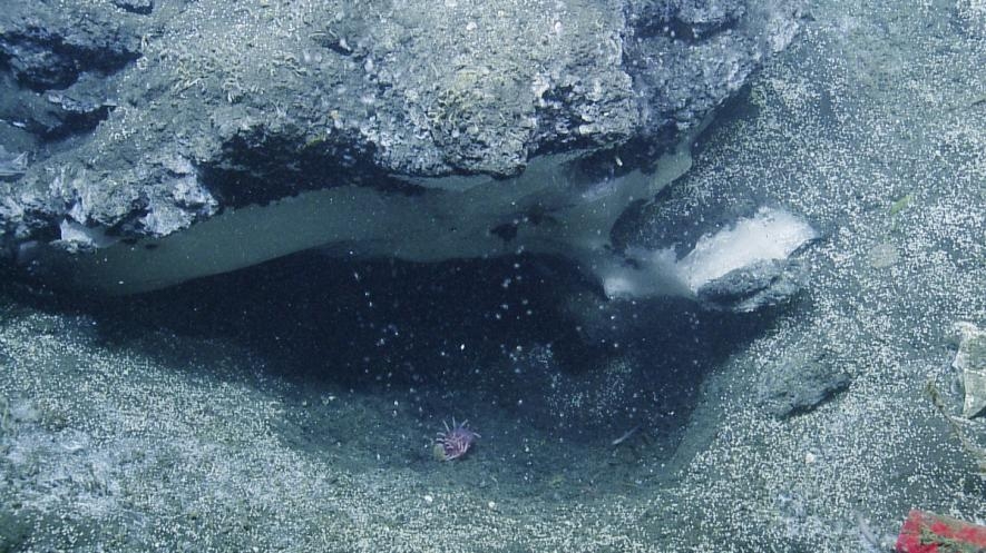 這個新發現的甲烷滲漏點含有兩種不同相態的甲烷：氣體（泡泡）和固體（水合物，甲烷被冰凍在水裡）。像這樣能在沉積物之上觀察到固體水合物的情況非常稀少，這種結構通常是被埋在沉積層之下。PHOTOGRAPH COURTESY OCEAN EXPLORATION TRUST