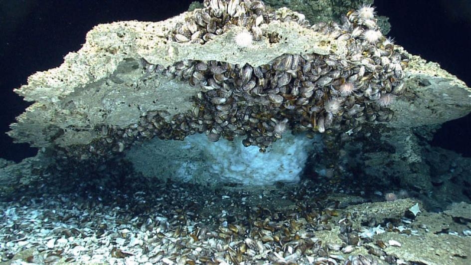 在墨西哥灣深處的海床下，藏著富含甲烷、像冰一樣的甲烷水合物（methane hydrate）。PHOTOGRAPH COURTESY NOAA OKEANOS EXPLORER PROGRAM