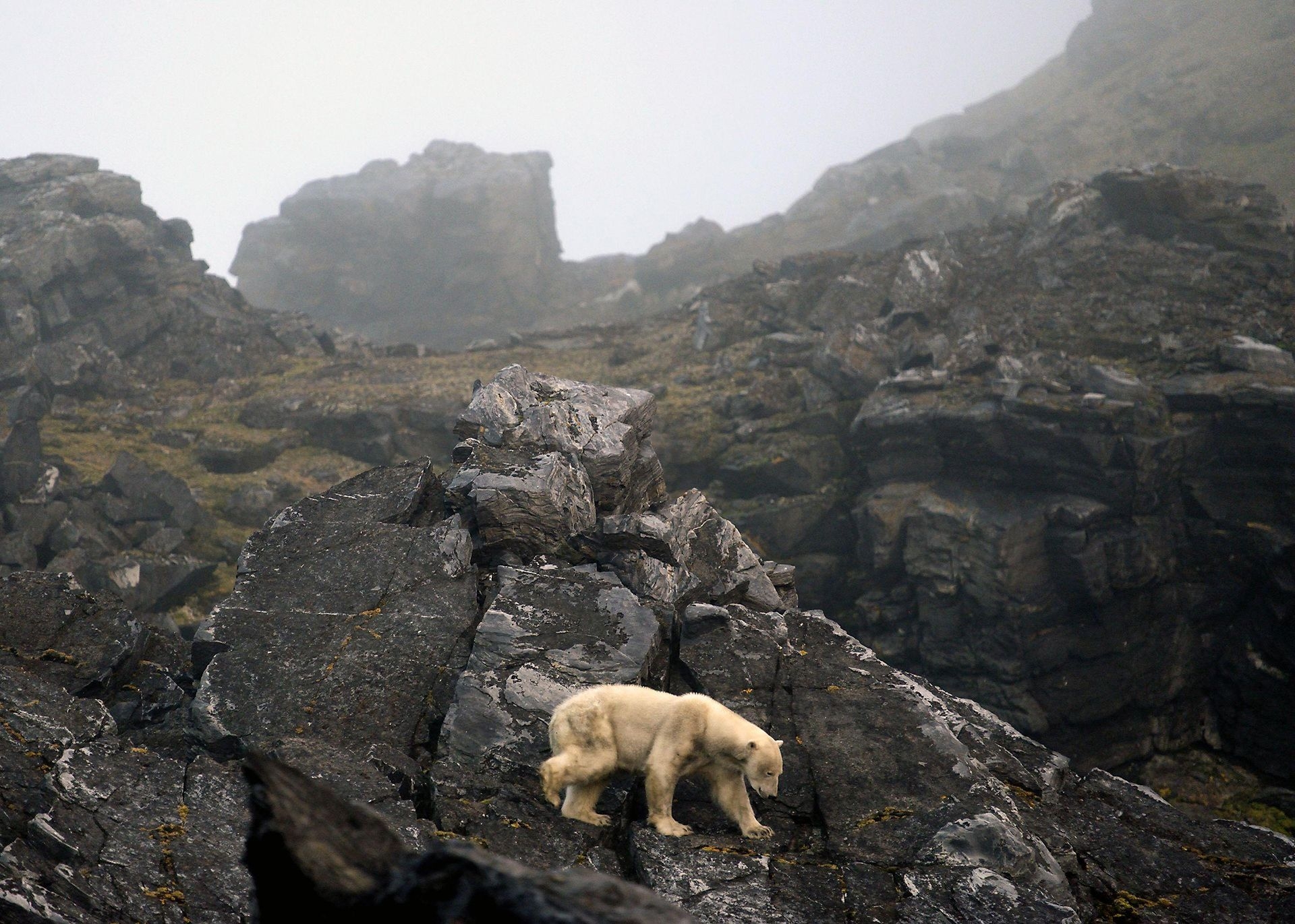 Photograph by Tor Amundsen, National Geographic  