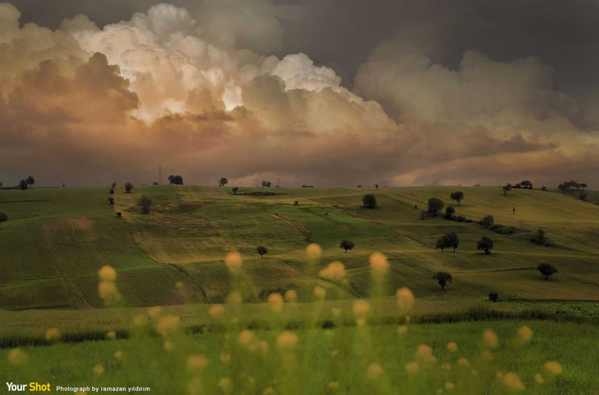 Photograph by ramazan yıldırım, National Geographic