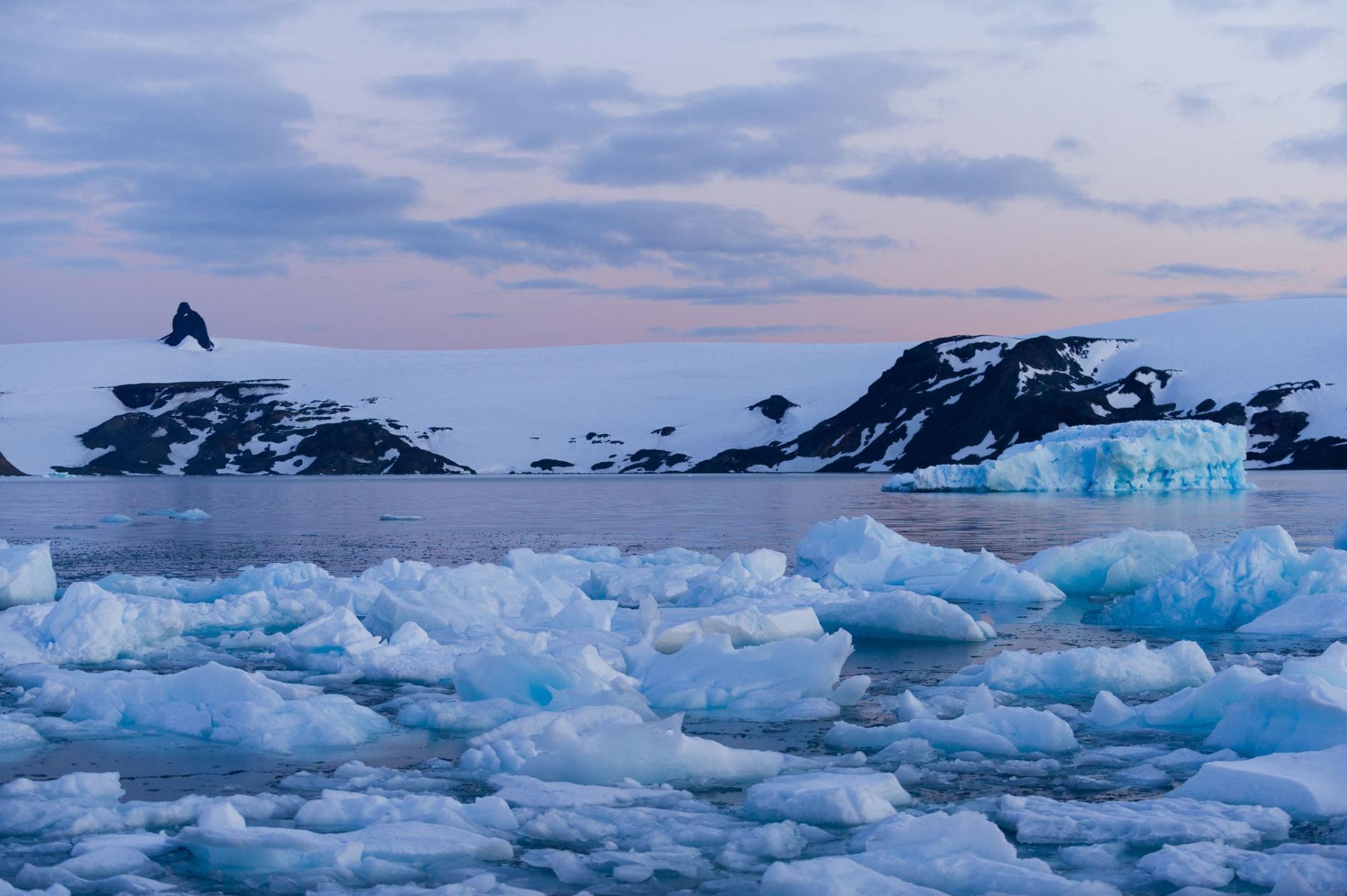 南極半島今夏已出現了氣溫飆高的天氣狀況。上圖為喬治王島。PHOTOGRAPH BY ALESSANDRO DAHAN, GETTY IMAGES