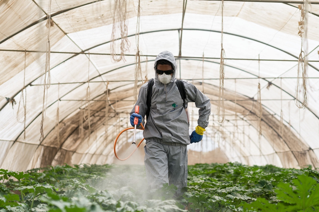研究發現，劇毒性農藥賣進貧窮國家的比例高於富裕國家。照片來源：Thomas Cristofoletti for USAID（CC BY-NC 2.0）