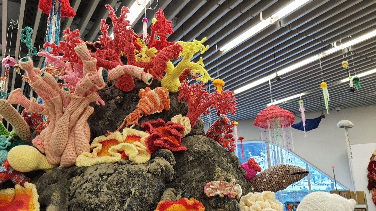 特展的針織珊瑚來自英國的環境藝術家Sue Bamford及海科館的志工們，將海洋教育、保育、環境藝術及針織手作課程帶入學校及社區，連續四年在各地扎根的海洋教育計畫。
