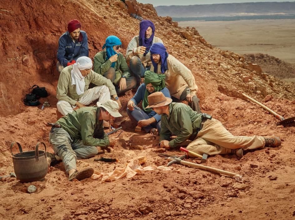 核心研究團隊圍繞著一塊新發現的棘龍骨頭。順時鐘從左上開始：哈桑二世大學學生阿尤布．阿馬內（Ayoub Amane）；米蘭大學學生兼攝影測量專家加百列．賓德里尼（Gabriele Bindellini）；科學插畫家馬可．奧迪托雷（Marco Auditore）；獨立古生物學家西蒙納．馬加努可（Simone Maganuco）；挖掘專家兼駕駛蒙貝雷克．弗德西（M’barek Fouadassi）；底特律梅西大學古生物學家尼札．伊布拉希姆；米蘭國立自然史博物館古生物學家克里斯蒂亞諾．達沙索（Cristiano Dal Sasso）；以及哈桑二世大學古生物學家薩米爾．祖赫里（Samir Zouhri）。PHOTOGRAPH BY PAOLO VERZONE, NATIONAL GEOGRAPHIC 