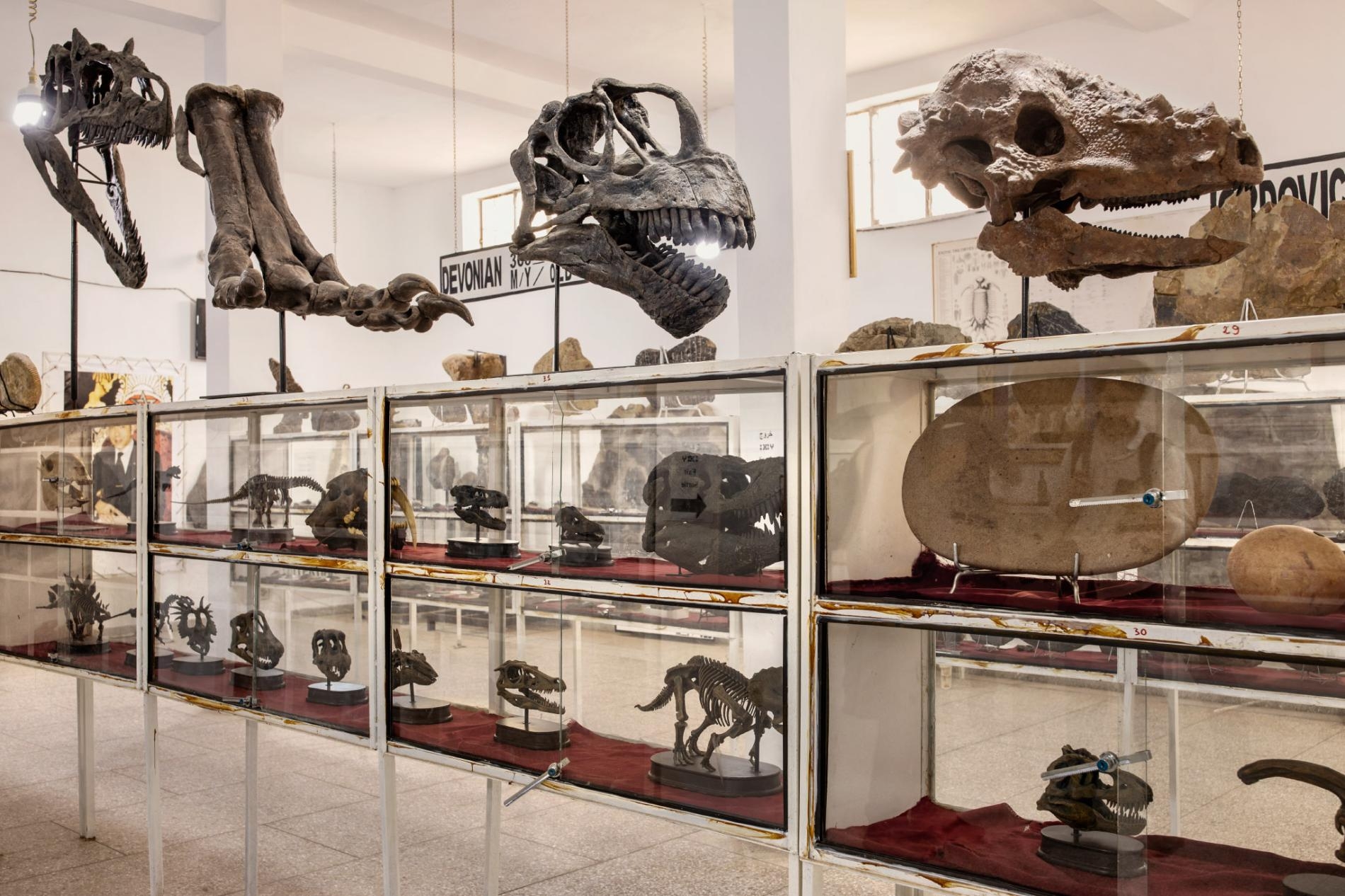 由一名化石仲介經營的塔希里化石博物館有著從摩洛哥和世界各地搜羅而來的化石。館中一半的空間用作禮品店，觀光客可以在這裡購買切片的恐龍骨頭。PHOTOGRAPH BY PAOLO VERZONE, NATIONAL GEOGRAPHIC