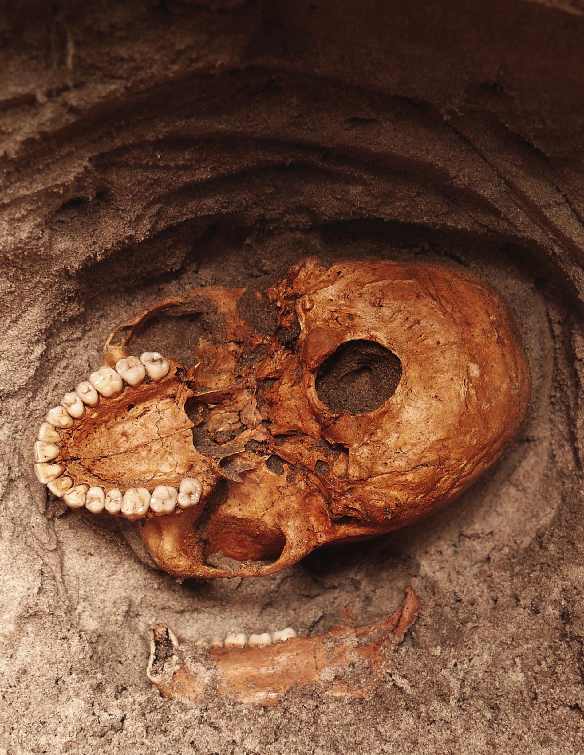 一顆人類顱骨從坦尚尼亞潘加尼河畔的灰色砂土中向外窺視，這座遺址曾經是早期史瓦希利（Swahili）漁村。大約1000年前，海嘯突然摧毀了這座村莊，造成許多居民罹難。PHOTOGRAPH BY VITTORIO MASELLI