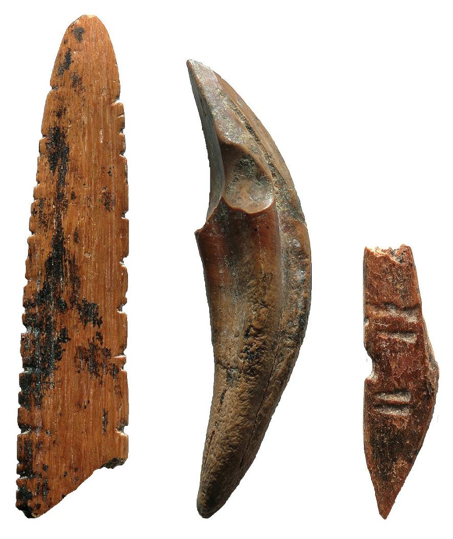 從斯里蘭卡法顯洞（Fa-Hien Lena）出土的工具由骨頭和牙齒製成，它們被用作狩獵小猴子與松鼠、切割獸皮或植物，也或許用來織網。照片中（由左至右）是可能用作織網的梭子、猴牙錐子／小刀與投擲武器。PHOTOGRAPH BY M. C. LANGLEY