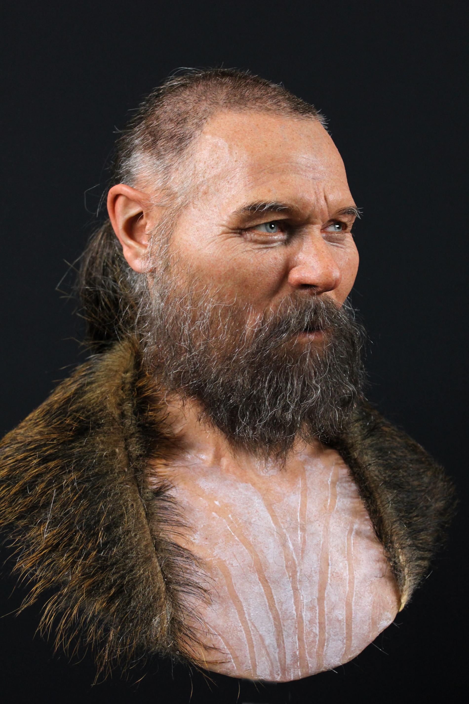 用來重建這名男子面貌的不完整顱骨和其他的人類頭蓋骨與動物頷骨一起出土，它們於公元前6000年左右被擺放在瑞典一座湖中。製作重建模型的藝術家為這名男子選了一件由野豬毛皮製成的披肩──野豬也在湖中發現的動物遺骨之列。PHOTOGRAPH BY OSCAR NILSSON