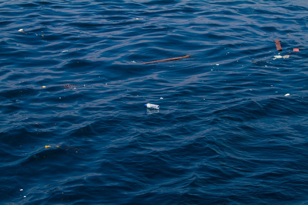  新北附近海域的塑膠垃圾。資料照，圖片來源：黑潮基金會提供。