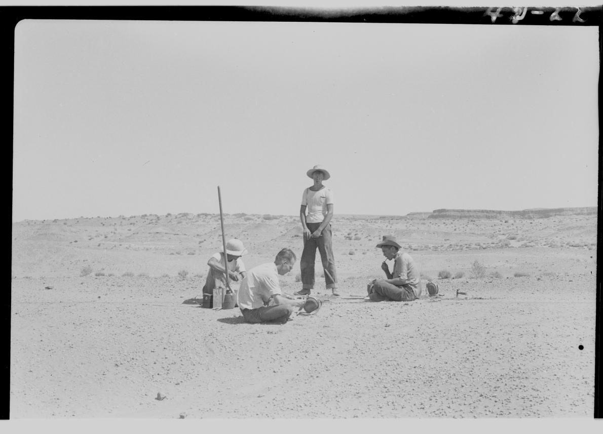 這張照片拍攝於1942年的發掘現場，當時加州大學柏克萊分校的科學家正在發掘一副雙脊龍化石。UNIVERSITY OF CALIFORNIA MUSEUM OF PALEONTOLOGY