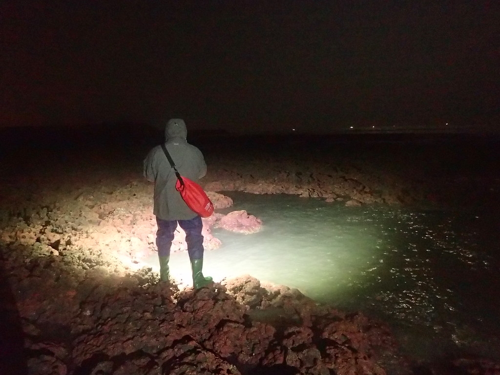 研究人員需掌握低潮時間走在礁盤上紀錄，若遇到半夜退潮研究人員一樣要進入調查，陳昭倫笑稱團隊是在做「夜間保全」的工作。圖片來源：陳昭倫團隊提供。
