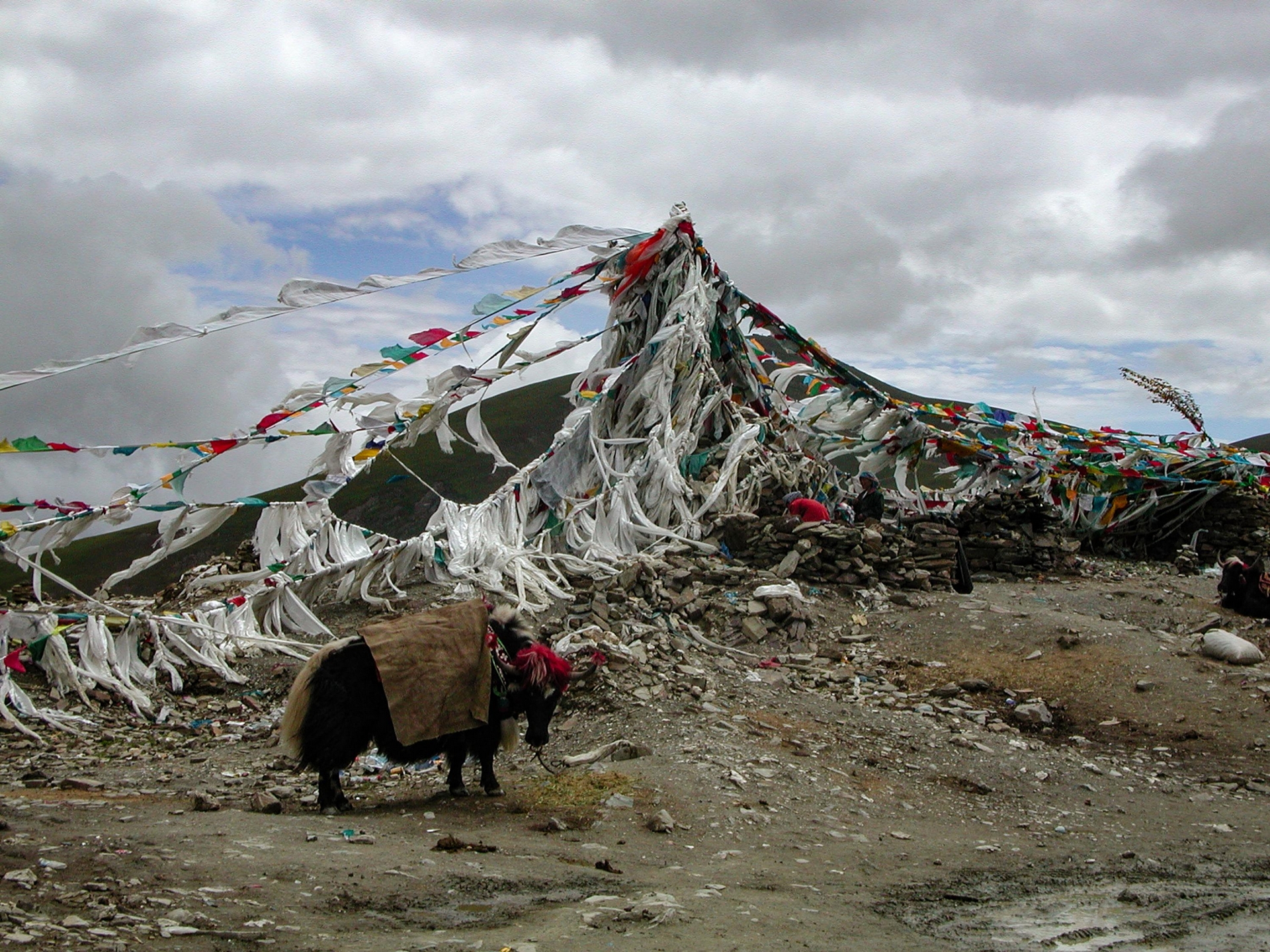 崗巴拉山口海拔4700公尺，這裡是觀賞西藏三大神湖之一的羊卓雍措的最佳位置。