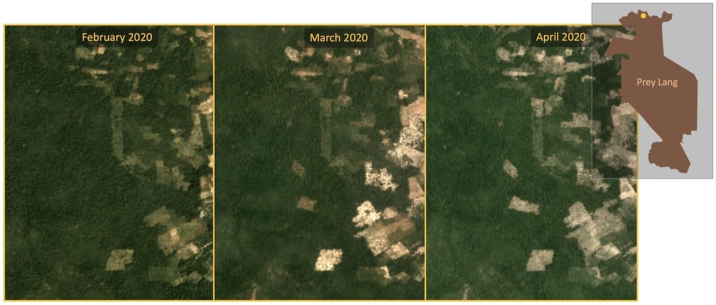 最近普雷朗保護區北部遭受到的森林砍伐程度最為嚴重，大範圍砍伐面積已擴張至原始林。資料來源：Planet Labs, Inc. “Monthly /Quarterly Mosaics.” Accessed through Global Forest Watch on May 11, 2020.