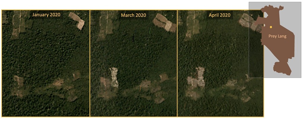 衛星影像顯示，最近森林砍伐的範圍（左下方）已侵入普雷朗的IFL。資料來源：Planet Labs, Inc. “Monthly /Quarterly Mosaics.” Accessed through Global Forest Watch on May 11, 2020.