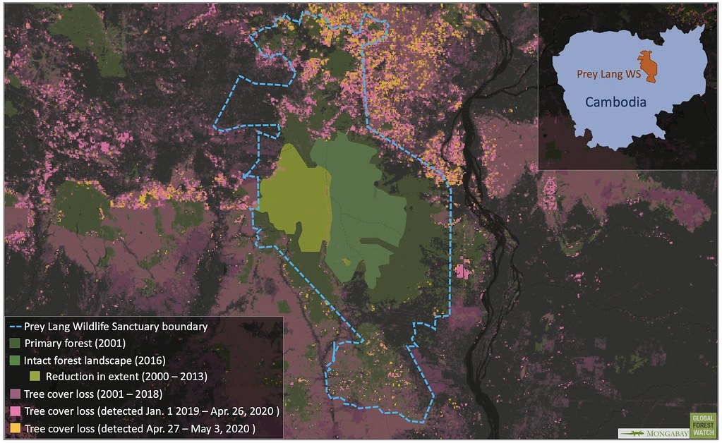 普雷朗野生物保護區中包含柬埔寨最後一片「完整森林地景」（intact forest landscape，簡稱IFL）。所謂IFL指的是原始森林覆蓋面積夠大，且未受干擾，所以可以保有當地原生生物多樣性。然而，這片IFL的未來堪慮：2001到2013年間，該地區損失了將近半數森林覆蓋面積，且馬里蘭大學的衛星圖資顯示，近期越發嚴重的森林損失情況正逐漸侵入IFL的範圍內。資料來源：GLAD/UMD; Greenpeace, University of Maryland, World Resources Institute and Transparent World. “Intact Forest Landscapes. 2000/2013/2016” Accessed through Global Forest Watch on May 11, 2020.