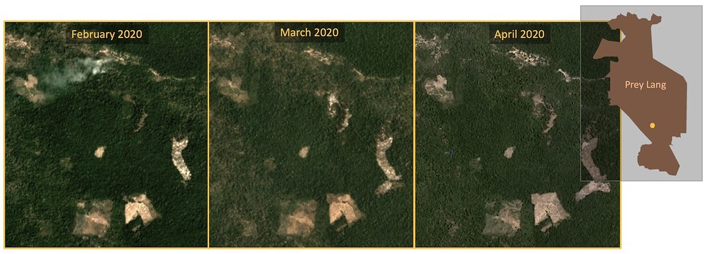 衛星影像顯示普雷朗南部地區也有森林砍伐活動。資料來源：Planet Labs, Inc. “Monthly /Quarterly Mosaics.” Accessed through Global Forest Watch on May 11, 2020