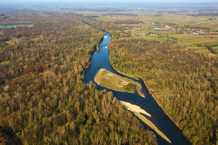 有計畫指出，將會在歐洲穆拉河沿岸的保護區修建數座水壩。照片來源：WWF／Matevž Lenarčič（CC BY-NC 4.0）