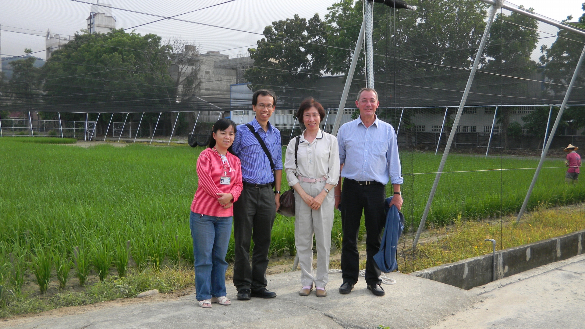 余淑美 (右二) 以及來自國際稻米研究中心的 C4 計畫第一到第三期的總主持人（右一）、國際稻米研究中心訪問學者(左二)、學生羅舜芳博士(左一)，於水稻實驗水田旁合影。 圖片來源│余淑美 