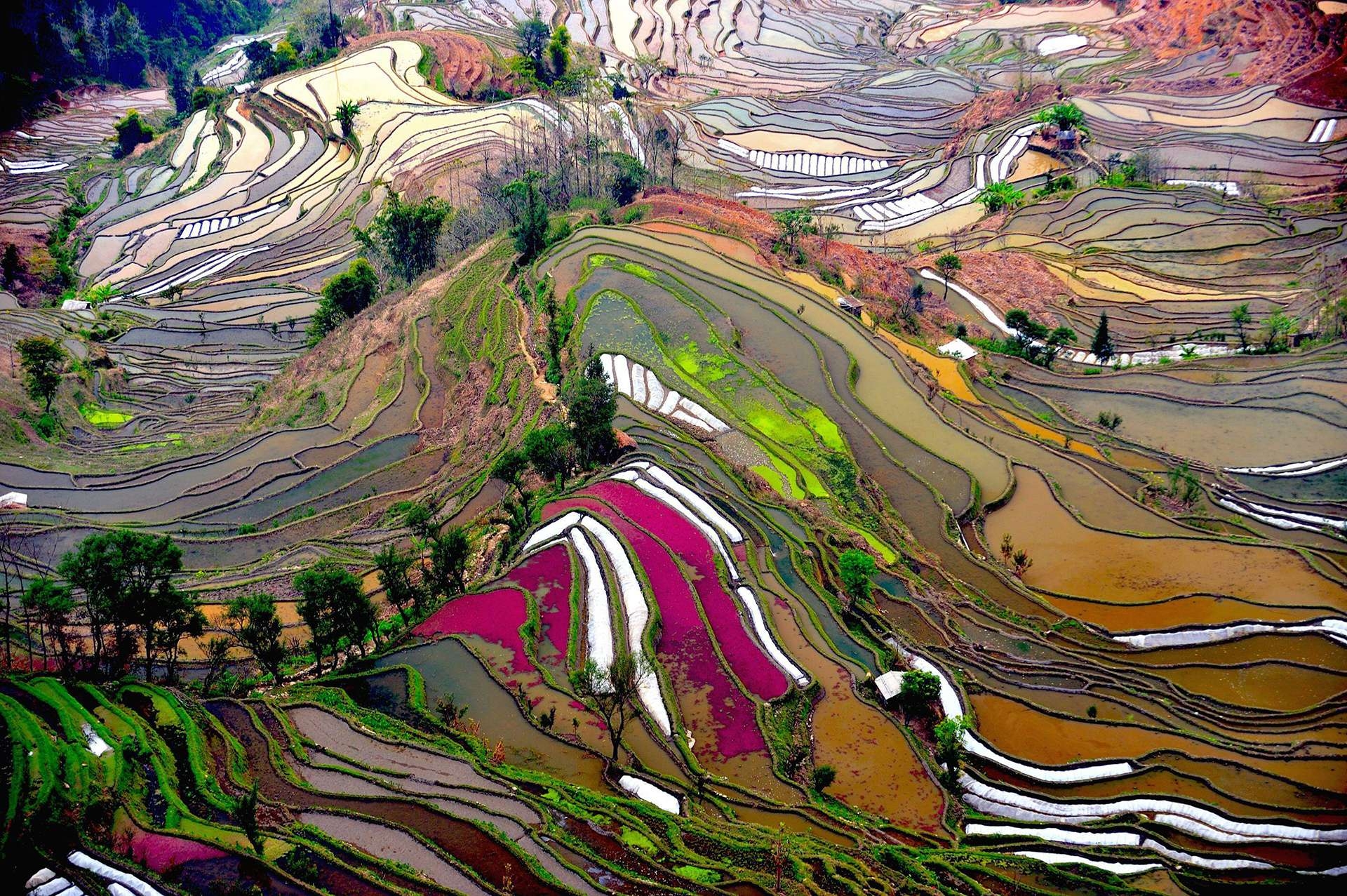 Photograph by Thierry Bornier