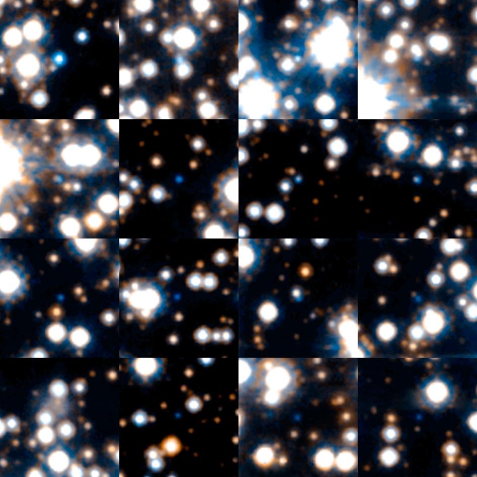 這些白矮星是在2006年由哈伯太空望遠鏡進行的一項天文巡天項目中拍照的。IMAGE BY NASA, ESA, A. CALAMIDA AND K. SAHU (STSCI), AND THE SWEEPS SCIENCE TEAM 