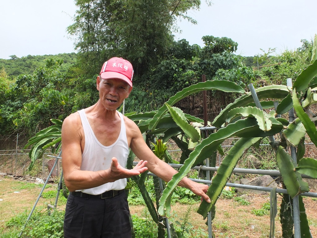 高協成在滿州經營飆沙車隊，並種植友善栽培火龍果，閒暇時也擔任社區解說員。鄭雅云攝。