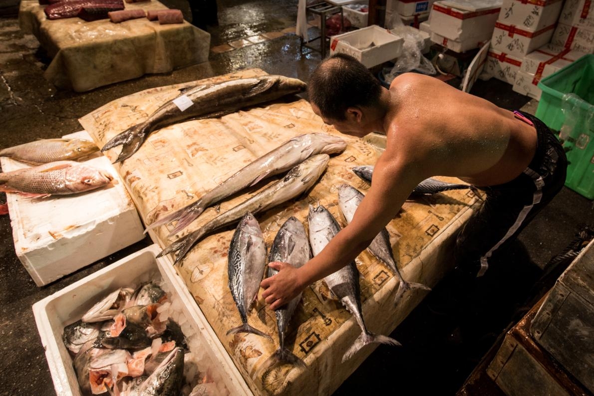 臺灣基隆魚市場中的這些魚，可能得之不易。環境正義基金會所調查的62艘臺灣漁船中，有92%剋扣了船員的薪資，82%強迫船員長時間工作──長達每天20小時。幾乎四分之一的船，都有船員詳細描述遭到暴力虐待的事件。 PHOTOGRAPH BY EJF 