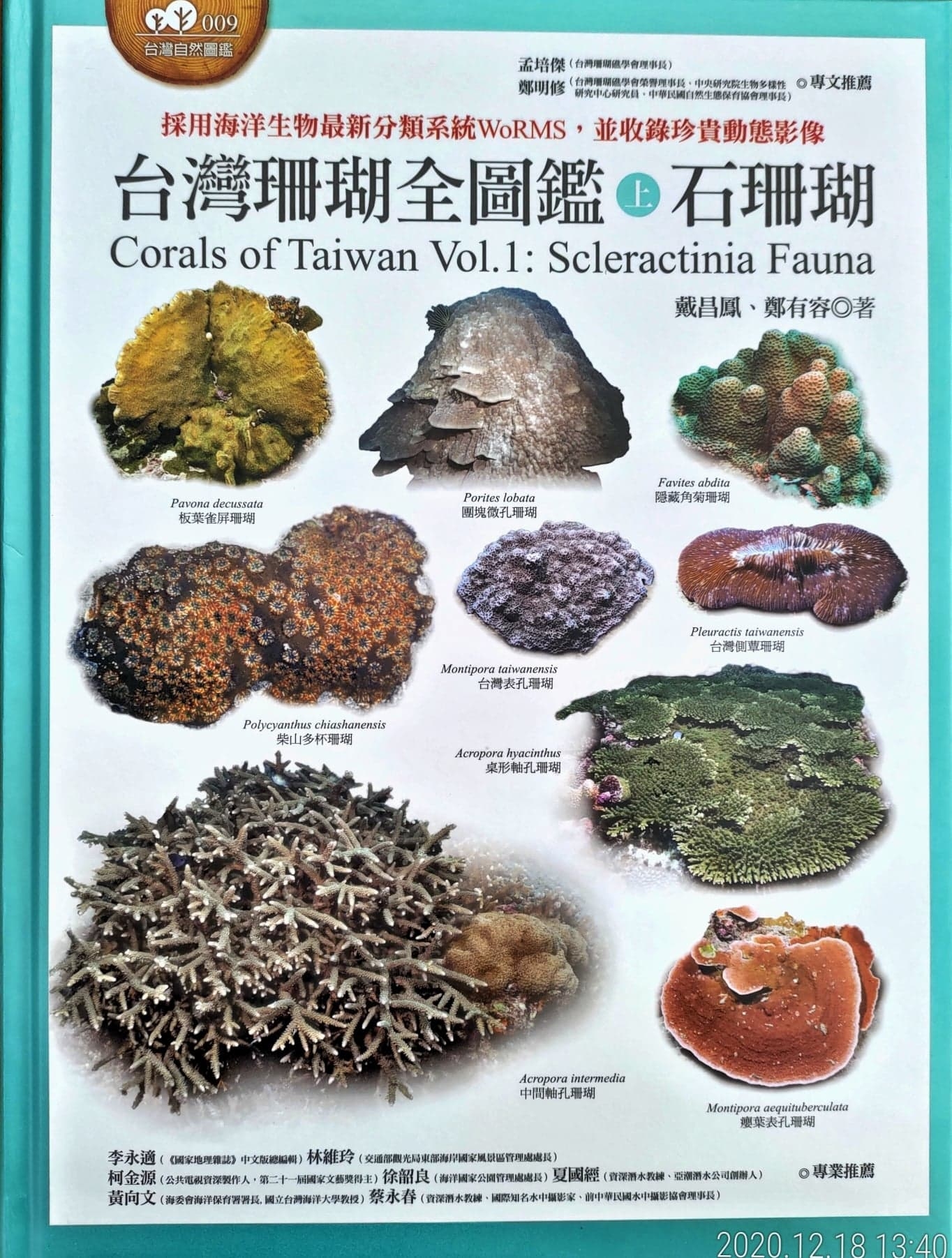 《台灣珊瑚全圖鑑-石珊瑚》。