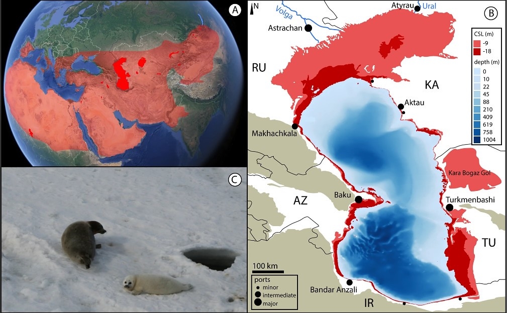 圖A：2080～2099年受乾旱影響區域，鮮豔紅色為湖泊。圖B：裏海水位下降示意圖，淺紅色為下降9公尺影響範圍，深紅色為18公尺。圖C：僅在裏海地區發現的裏海海豹，將因水位下降而受影響。圖片來源：《通訊地球與環境》