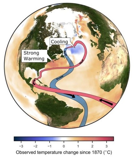 AMOC是世界上最大的海洋環流系統之一。圖表來源：Levke Caesar／波茨坦氣候變遷衝擊研究所新聞稿