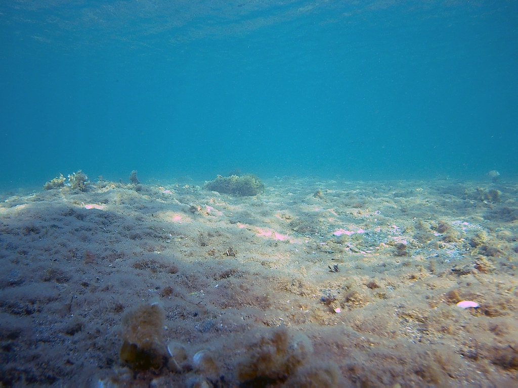 漁業常見的底拖網捕撈法，將海洋沉積物中的碳釋放到海水中。圖片來源：Dimitris Siskopoulos（CC BY 2.0）