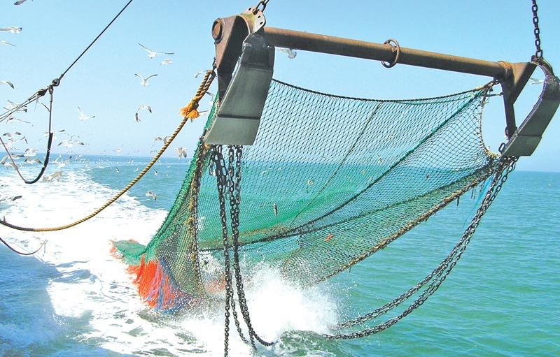 斯里蘭卡的一艘漁船底正在使用底拖網捕魚。圖片來源：The Pearl Protectors／推特