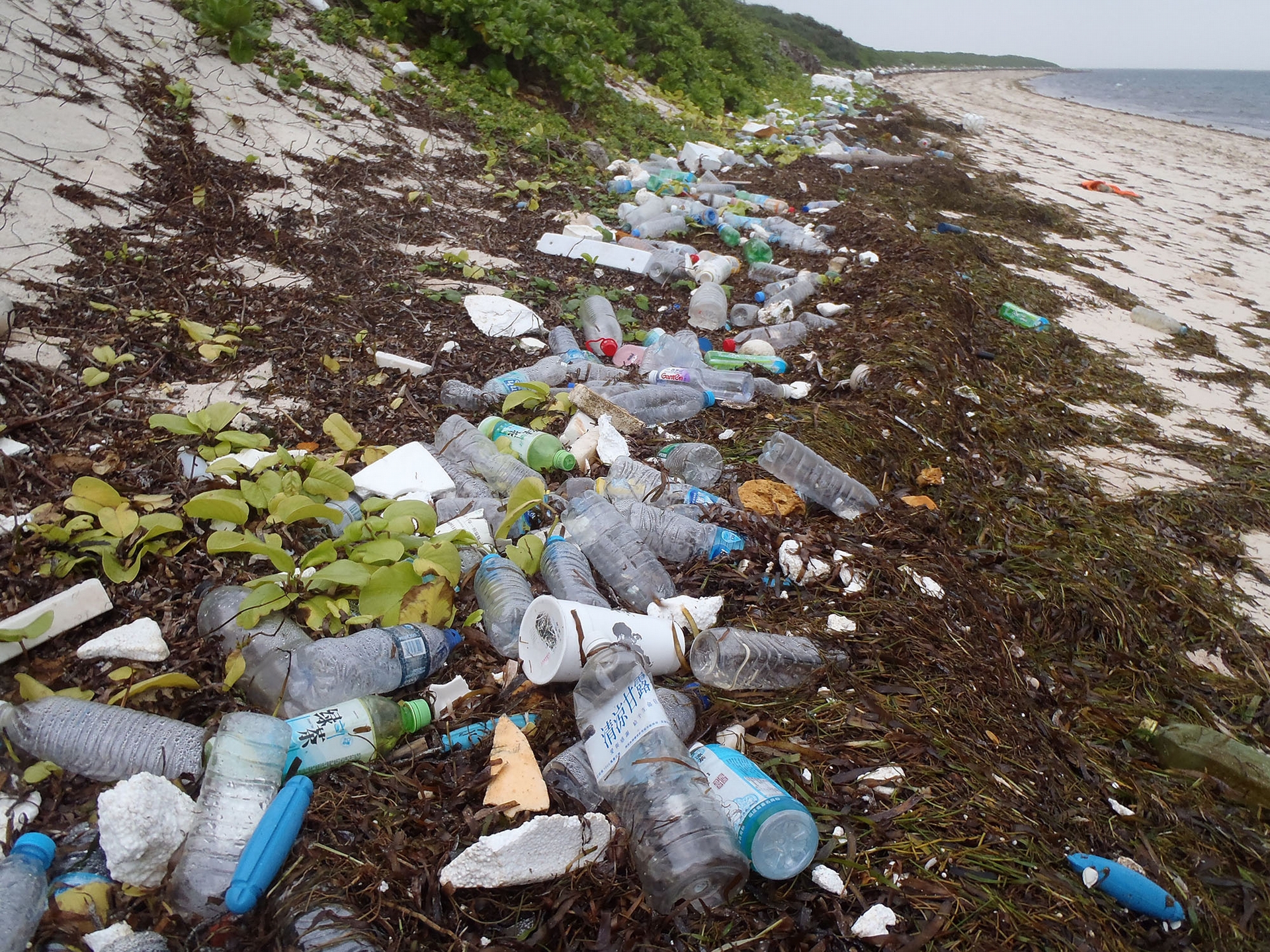 鄭明修發現東沙島海漂垃圾多得嚇人，圖片為東沙島岸上的海漂垃圾。 圖│鄭明修 