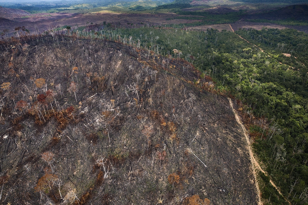 根據一項新研究，地球上生態完好無損的土地只剩3％。亞馬遜雨林砍伐照。照片來源：Araquém Alcântara／WWF-BRasil