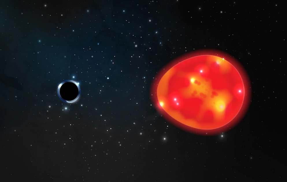 在距離地球約1500光年外，有個小型黑洞繞著一顆紅巨星運行，天文學家藉著黑洞拉扯紅巨星的重力而發現了這個看不見的天體。ILLUSTRATION BY LAUREN FANFER AND OHIO STATE UNIVERSITY.