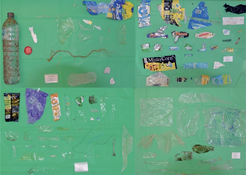 該研究在海岸邊收集的樣本，多為塑膠垃圾。照片來源：《自然永續》期刊