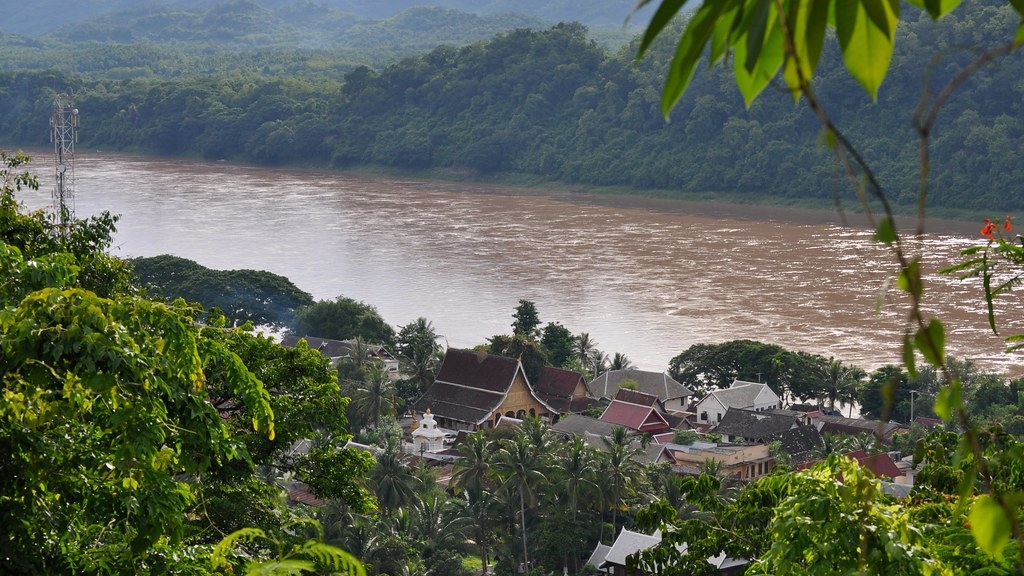 亞馬遜河、湄公河和剛果河等世界大河的生物多樣性，對科學家來說仍存在諸多謎團。照片來源：David McKelvey（CC BY-NC-ND 2.0）