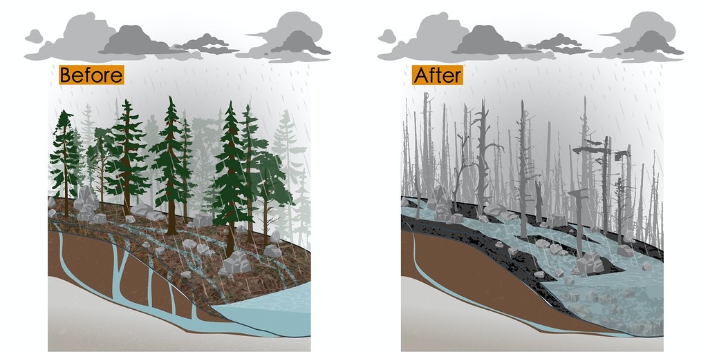 前：森林吸收和過濾降水能力提供足夠乾淨水源；後：火災後植被土壤性質和水流模式改變。圖片來源：USGS