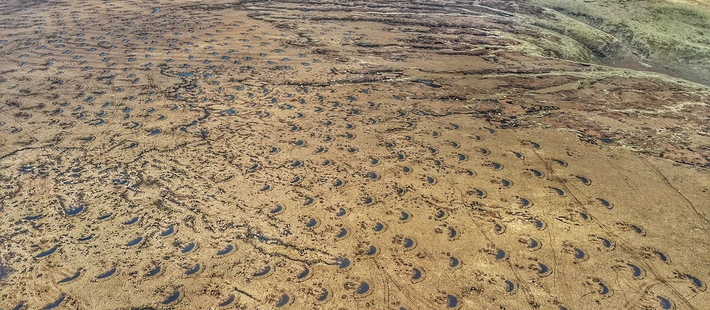 公私協力花了六個月時間，在霍爾科姆沼澤上建了近3500個扇貝形的泥炭坑。照片來源：國民信託新聞稿