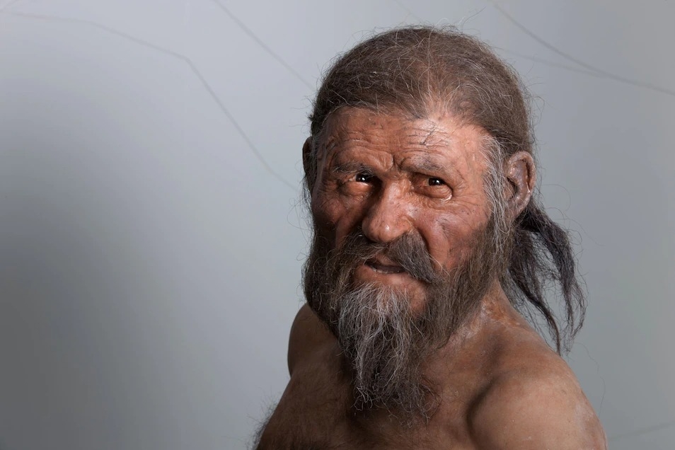 冰人奧茨的重建像，他生活並死亡於約5200年前的歐洲阿爾卑斯山脈。1991年9月19日，德國登山客發現了他自然木乃伊化的遺體。PHOTOGRAPH BY ROBERT CLARK, NAT GEO IMAGE COLLECTION 