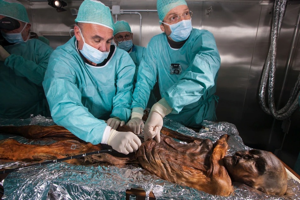 2010年，研究人員為奧茨的遺體驗屍。驗屍需要將冰凍的遺體解凍，由於會對這副木乃伊的保存狀態帶來損害，因此很少執行。這具木乃伊上次解凍發生在2019年。PHOTOGRAPH BY ROBERT CLARK, NAT GEO IMAGE COLLECTION 