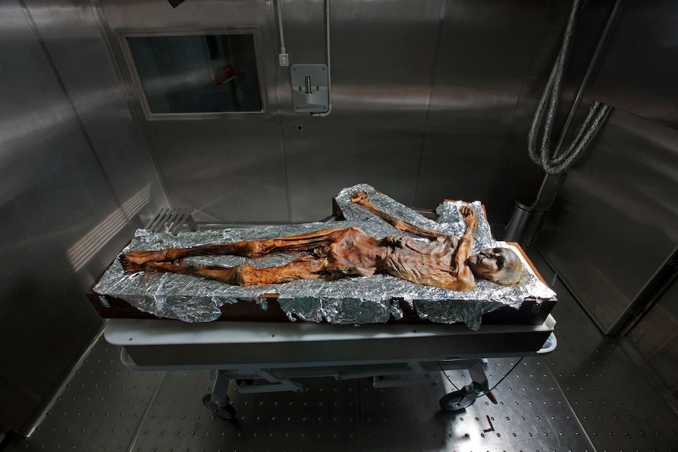 奧茨自然木乃伊化的遺體現在存放於義大利波札諾南提洛爾考古學博物館的一個冷箱之中。這座博物館每年會收到十至15份科學家送來的研究奧茨的申請。PHOTOGRAPH BY ROBERT CLARK, NAT GEO IMAGE COLLECTION 