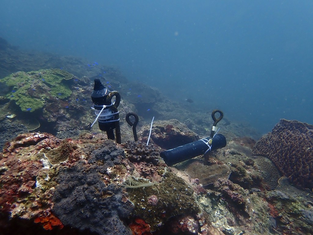  海洋保育署2021年4月啟動首次「臺灣海域生態大調查」。圖為水下聲學生態監測使用的錄音機。圖片來源：海保署提供