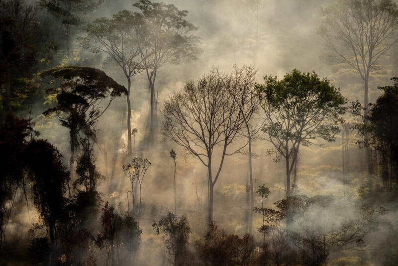 2020年8月至2021年7月期間，巴西的毀林程度達到十年來最高。照片來源：Christian Braga / Greenpeace