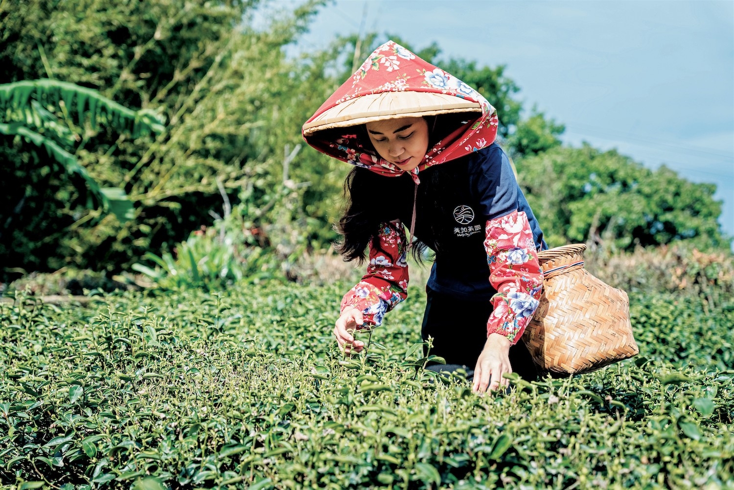 青年返鄉，帶領著休閒農業一步一步走向創新。(圖片來源：台灣休閒農業發展協會)