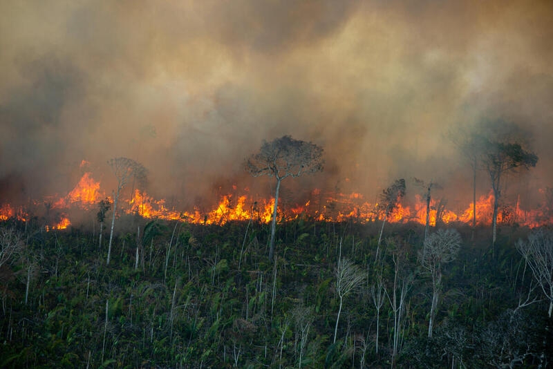 2021年7月29日火線越過亞馬遜雨林一片森林退化的區域，每年，綠色和平都會監視該雨林林火狀況。照片來源：Christian Braga/Greenpeace